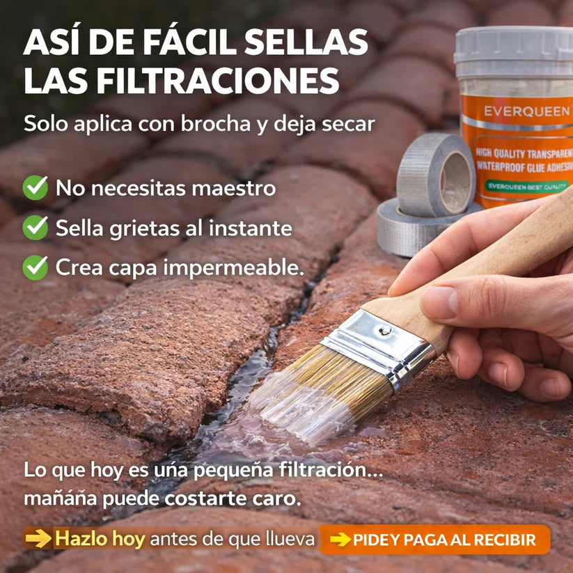 Encabezado